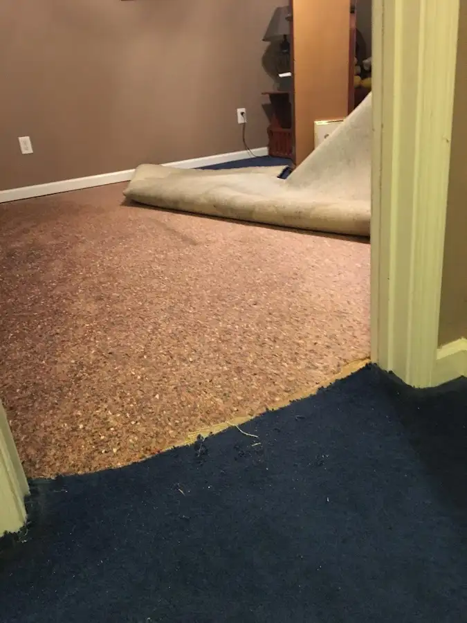 Carpet pad removal revealing water damage during Drying & Dehumidification in Mamakating